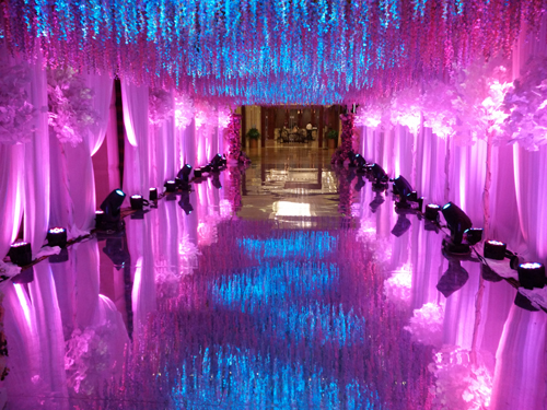 生(shēng)日(rì)會